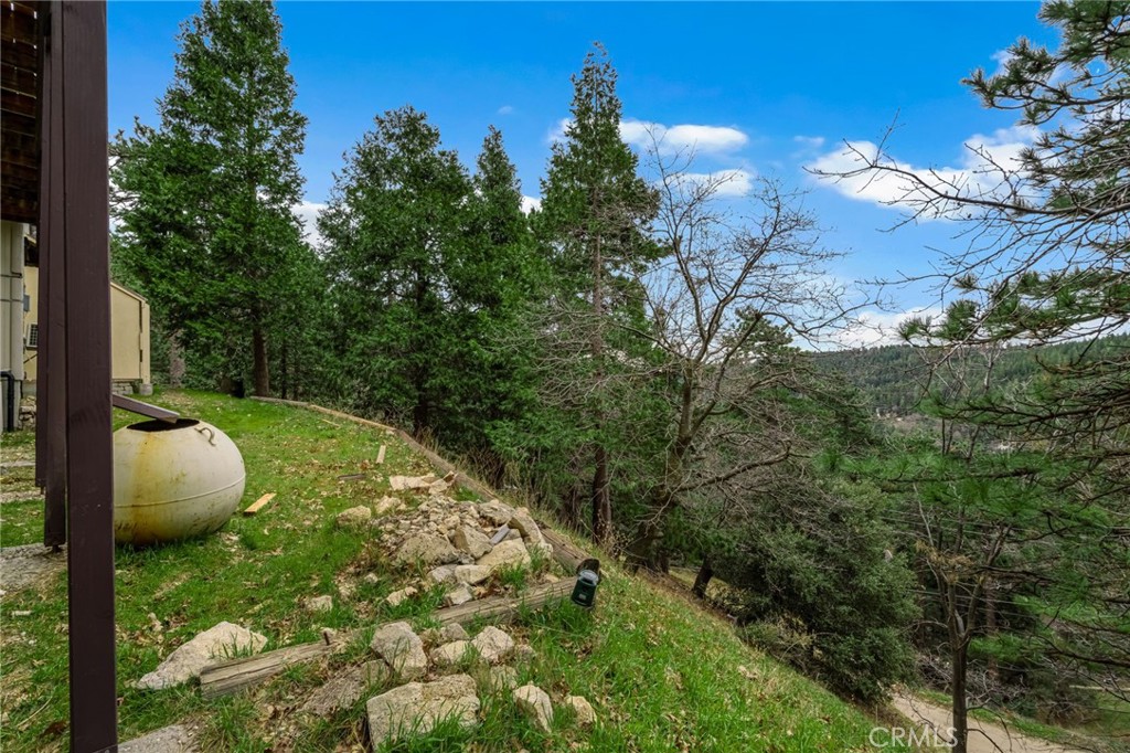 21775 Vista Road Cedarpines Park, CA 92322 - Photo 16 of 63