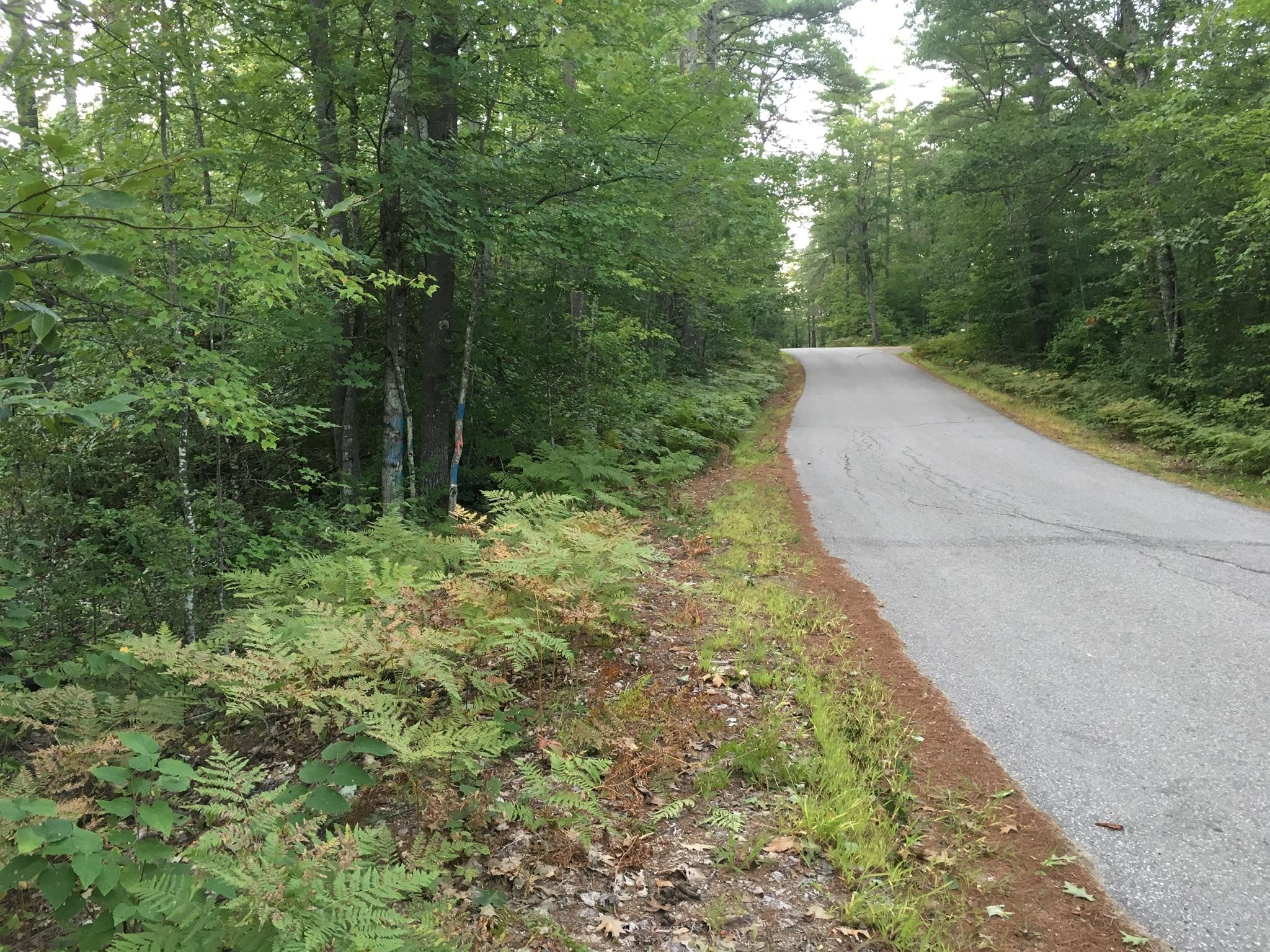 32-acres Sand Pond Road East Baldwin, ME 04024 - Photo 10 of 11 14EC45D7-1E5F-4EC0-9B66-E281596C0CE9