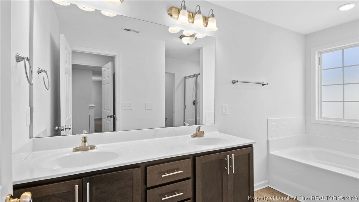 217 Fieldbrook Street Raeford, NC 28376 - Photo 18 of 42 a bathroom with a sink vanity tub and a mirror