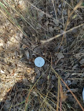 $214,000 | 1026 Palisades Avenue, Redding, CA 96003