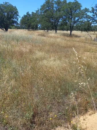 $214,000 | 1026 Palisades Avenue, Redding, CA 96003