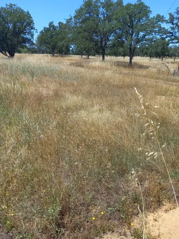 $214,000 | 1026 Palisades Avenue, Redding, CA 96003