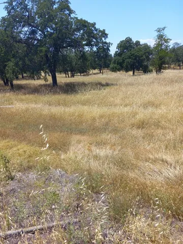 $214,000 | 1026 Palisades Avenue, Redding, CA 96003