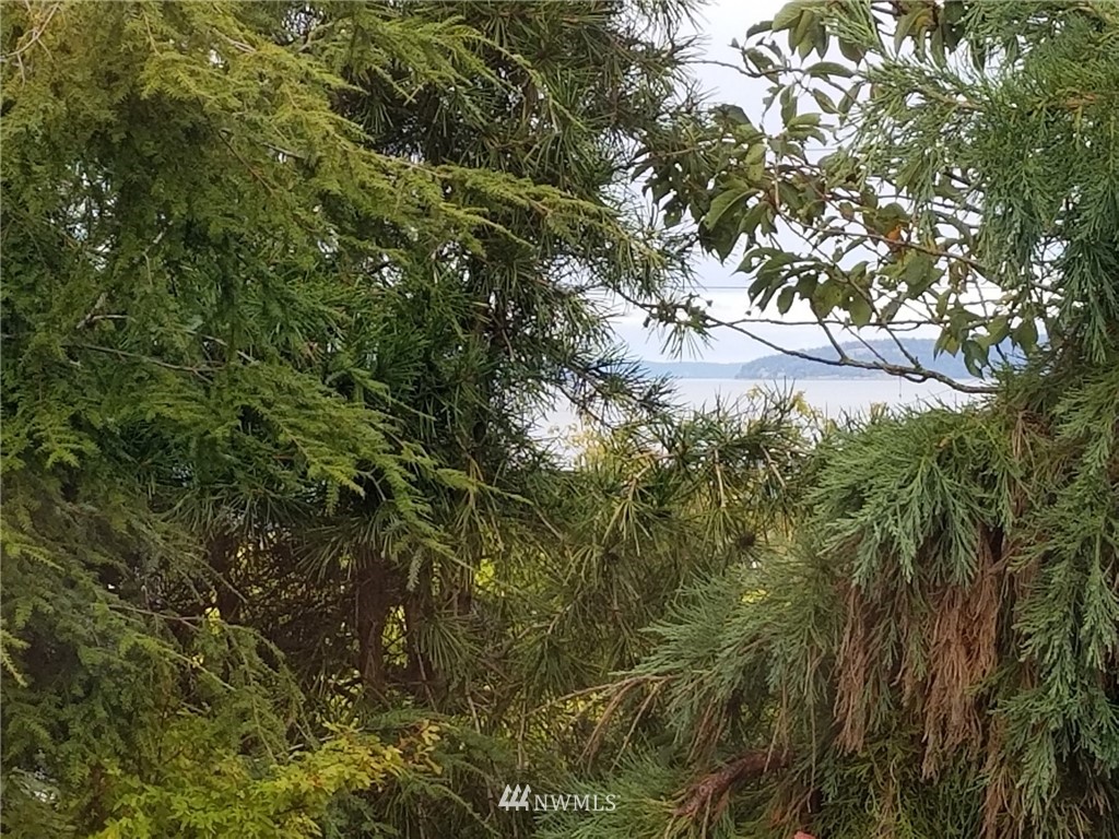 2321 Rucker Avenue Everett, WA 98201 - Photo 9 of 12 a view of tree