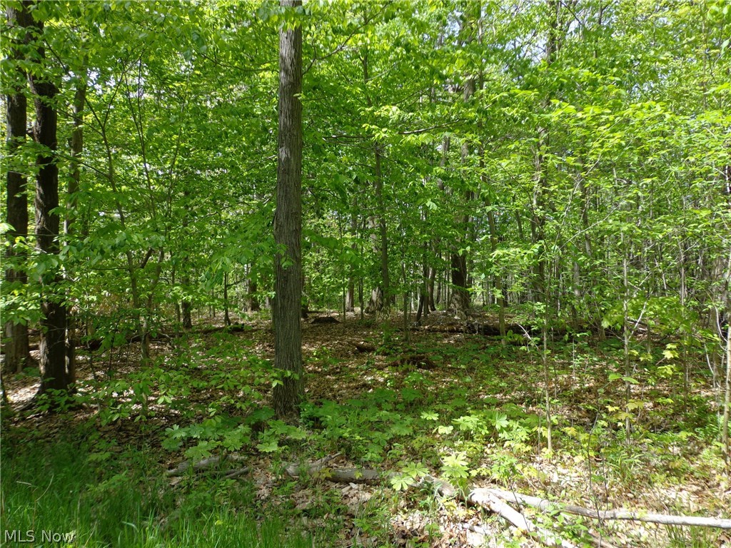 11460 Clark Road Chardon, OH 44024 - Photo 8 of 8
