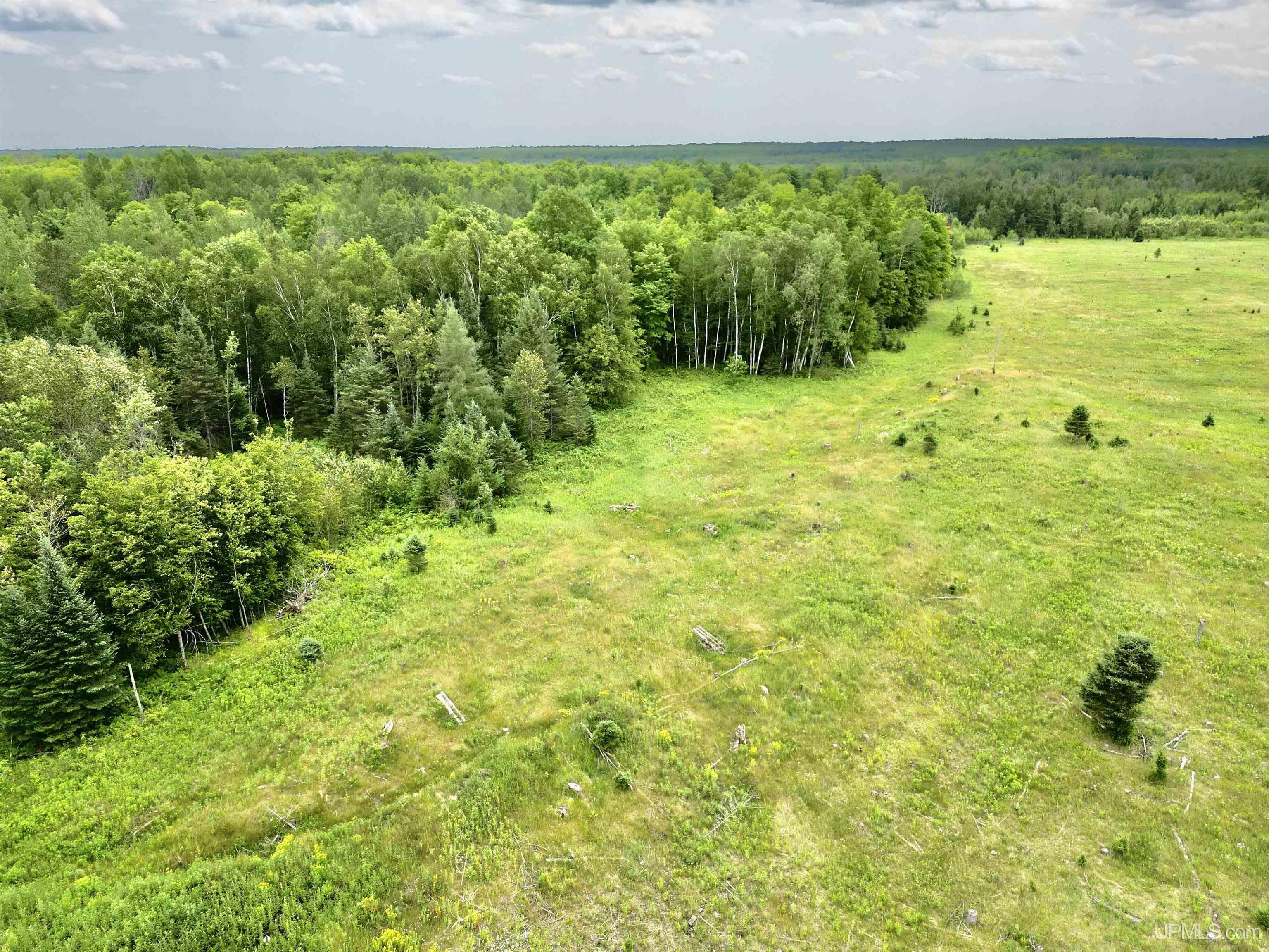 Tbd Tbd Truax Lane Road, Unit 1 Cornell, MI 49818 - Photo 3 of 13