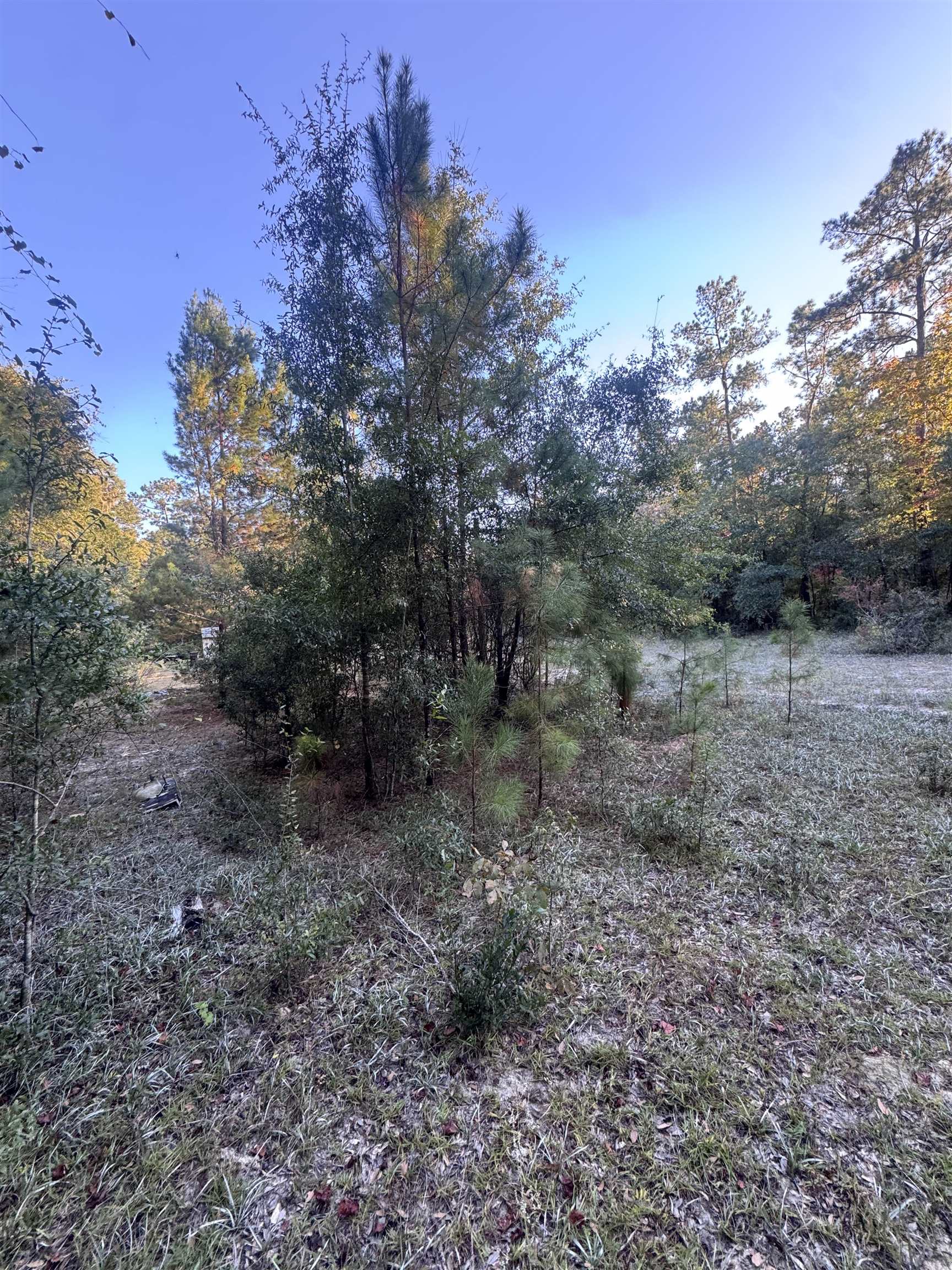 153 Davidson Street Quincy, FL 32351 - Photo 3 of 11