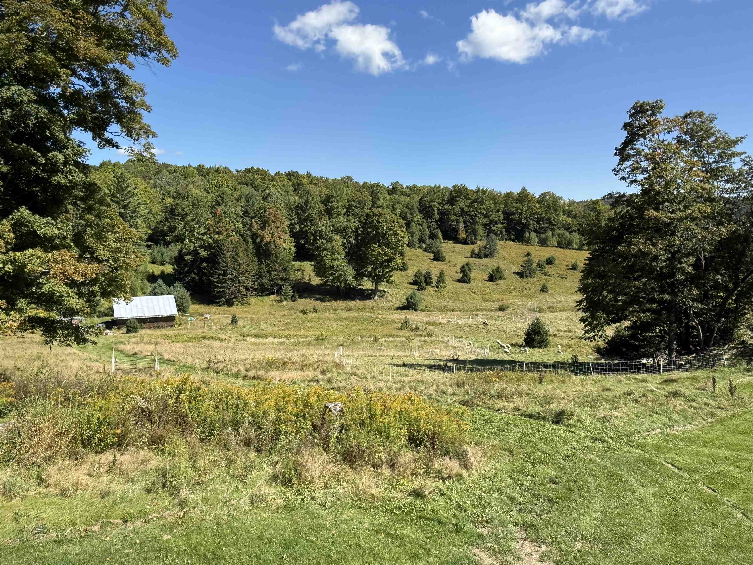 1720 MacIntosh Hill Road Bethel, VT 05060 - Photo 33 of 59 Gallery Image 33