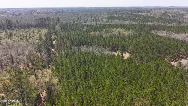$349,770 | Tract#6416 Brock Road, Caryville, FL 32427