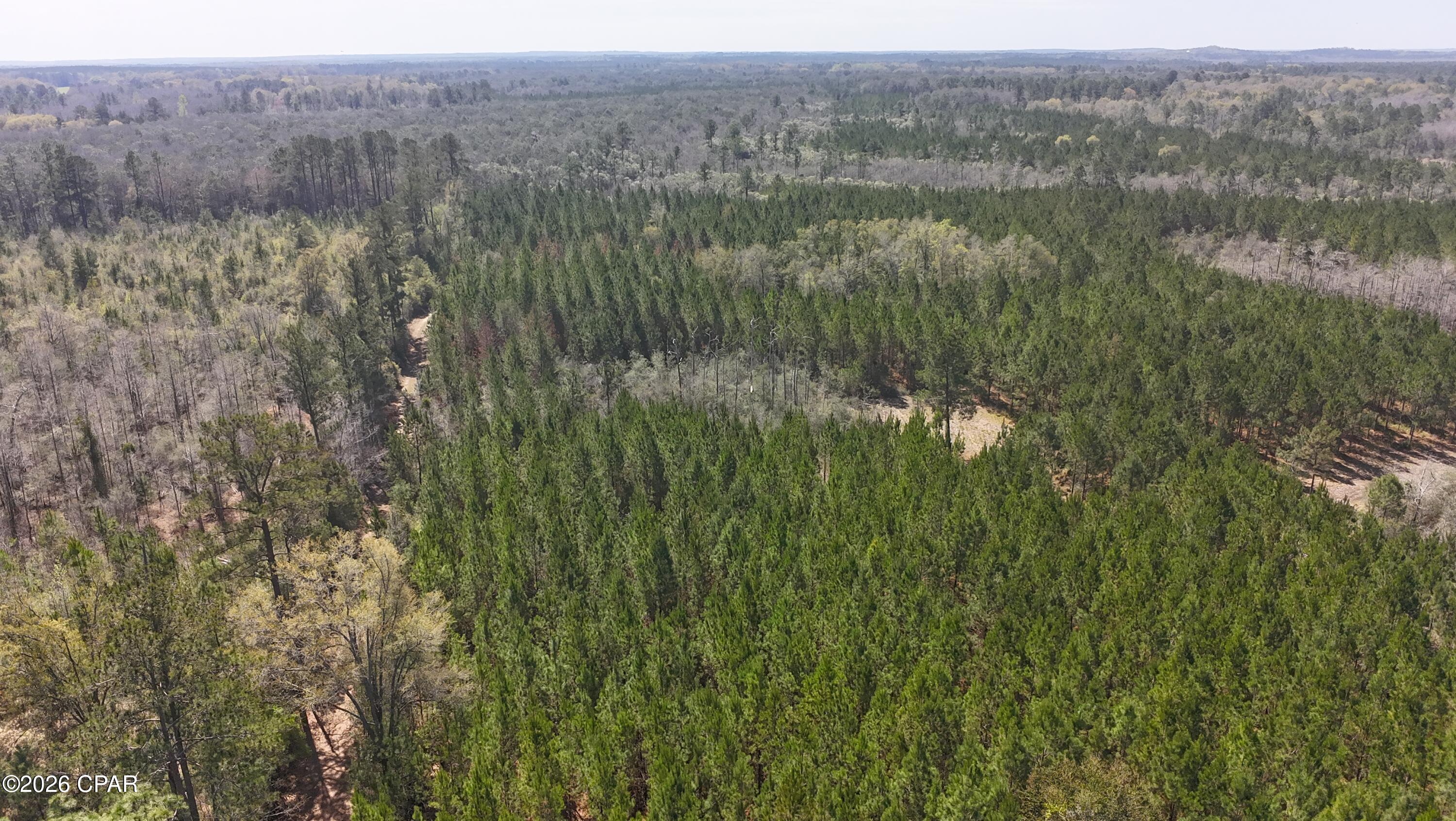 Tract#6416 Brock Road Caryville, FL 32427 - Photo 3 of 6