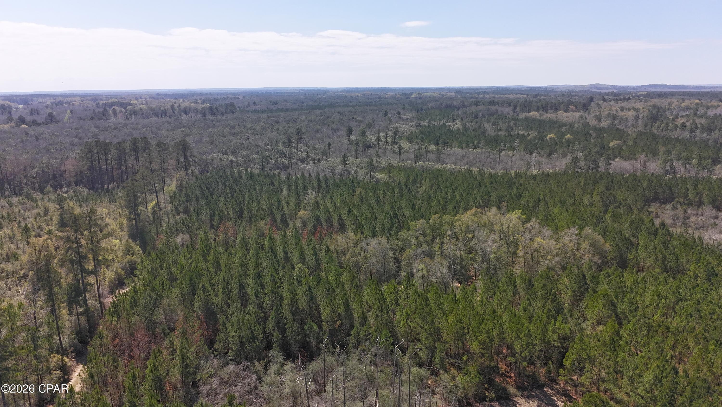 Tract#6416 Brock Road Caryville, FL 32427 - Photo 4 of 6