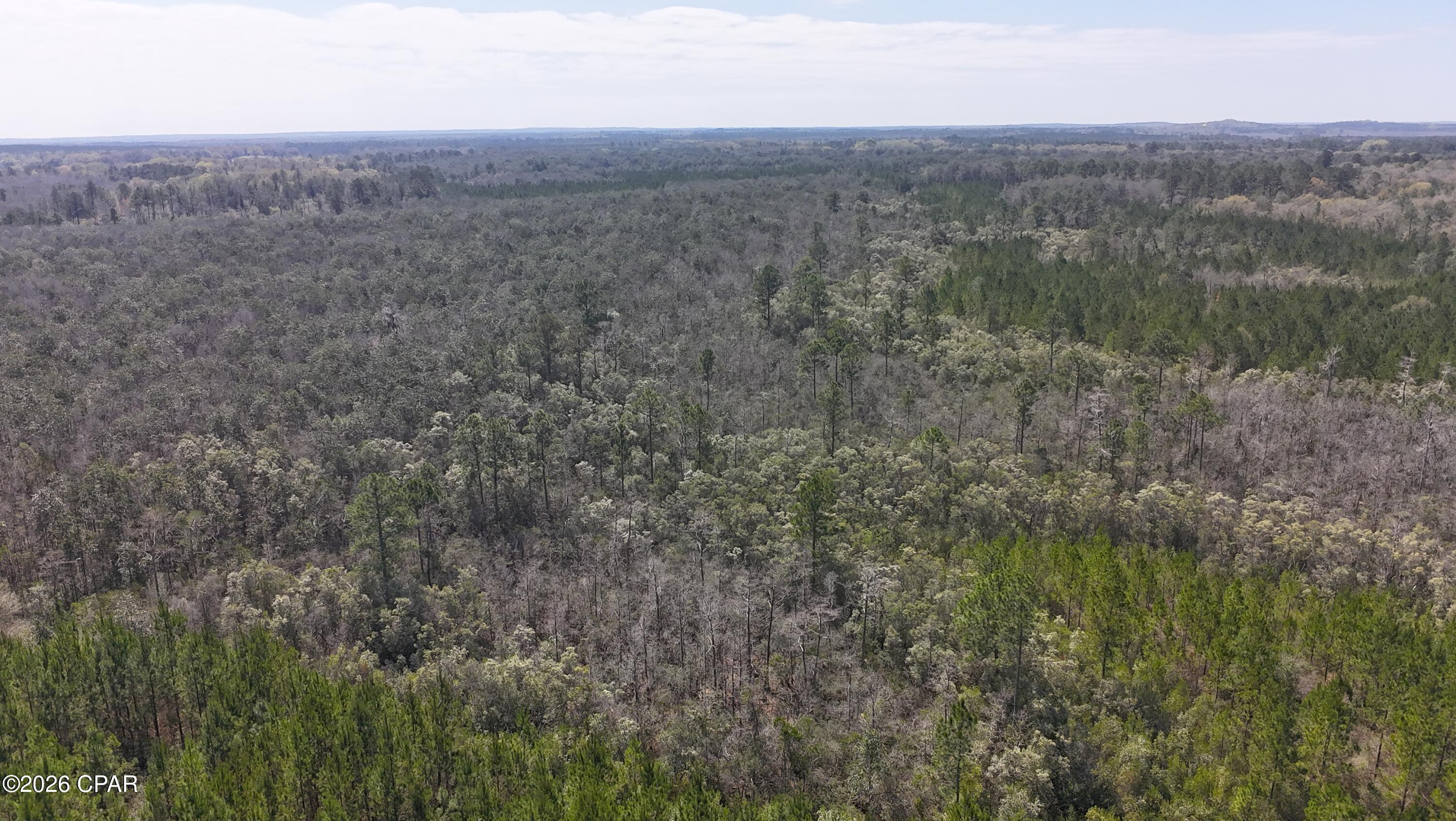 Tract#6416 Brock Road Caryville, FL 32427 - Photo 6 of 6