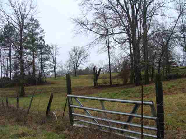 153 Palmer Road Walhalla, SC 29691 - Photo 14 of 16 Gallery Image 14