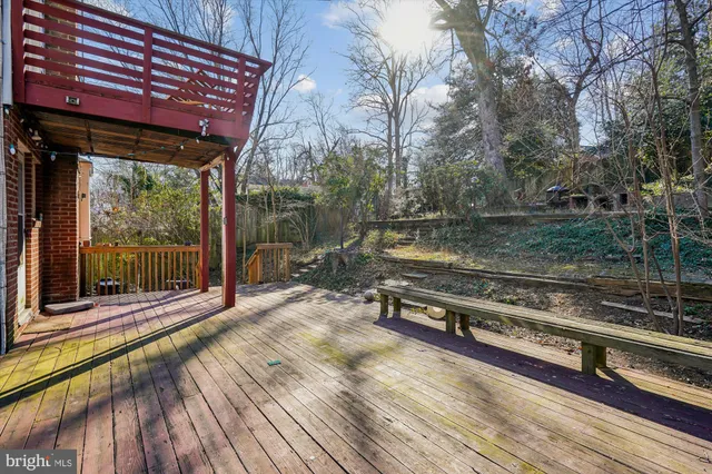 a view of a park with large trees
