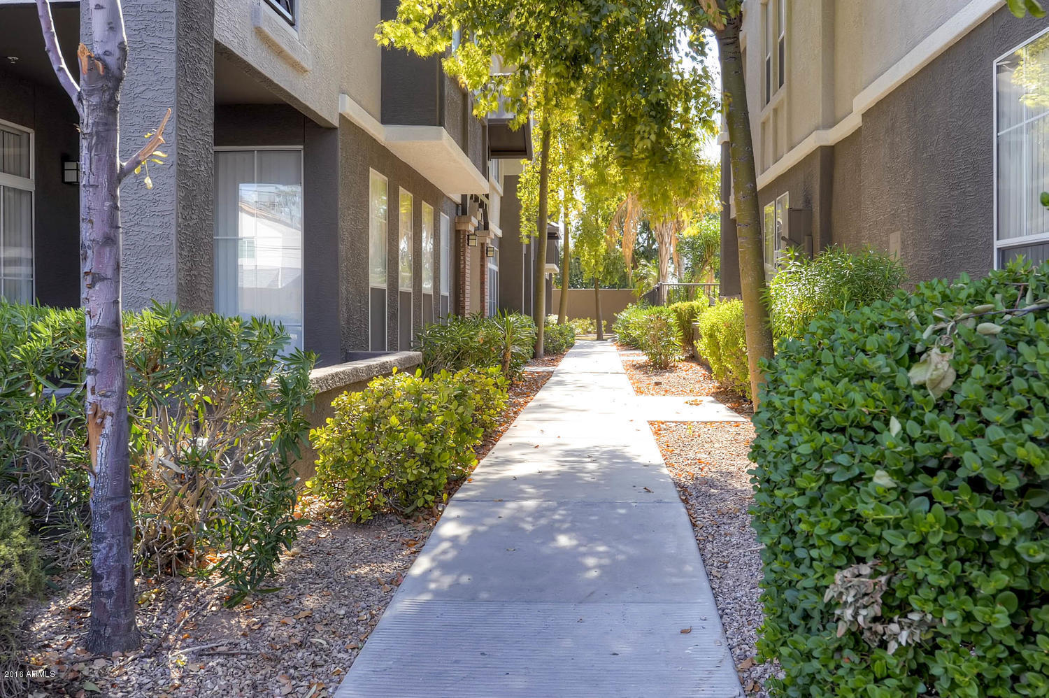 909 East Camelback Road, Unit 2081 Phoenix, AZ 85014 - Photo 25 of 28 909 E Camelback Rd Unit 2081-large-027-2