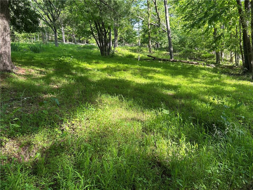 170 Clarks Hollow Rd Spring Vandergrift, PA 15690 - Photo 5 of 12
