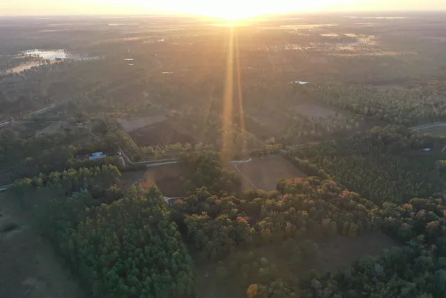 $700,000 | 9283 Tallokas Road, Pavo, GA 31778