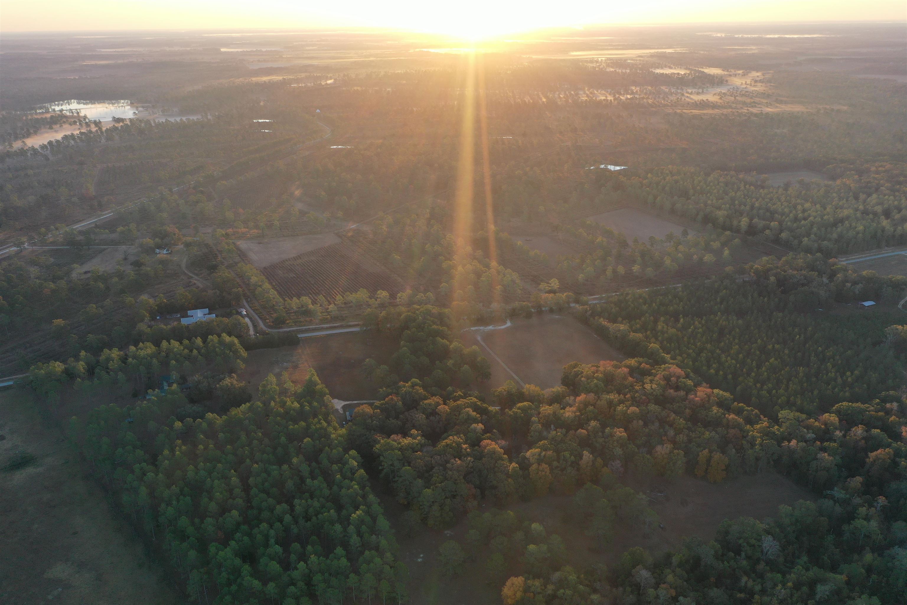 9283 Tallokas Road Pavo, GA 31778 - Photo 27 of 70