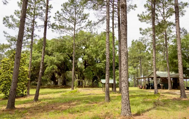 $700,000 | 9283 Tallokas Road, Pavo, GA 31778