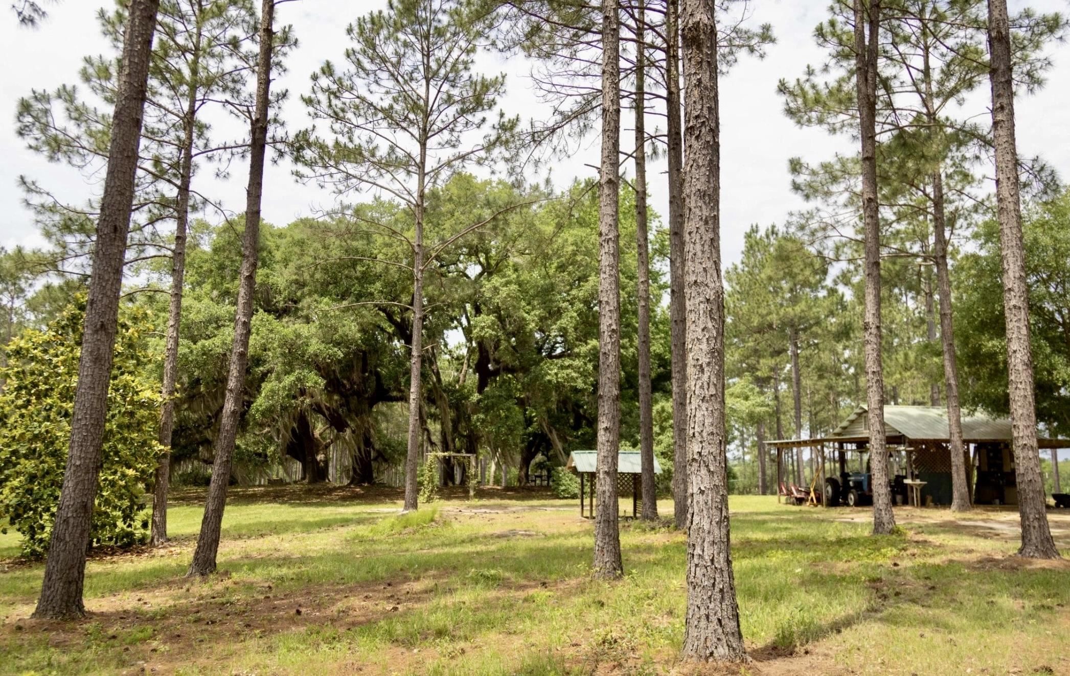 9283 Tallokas Road Pavo, GA 31778 - Photo 28 of 70