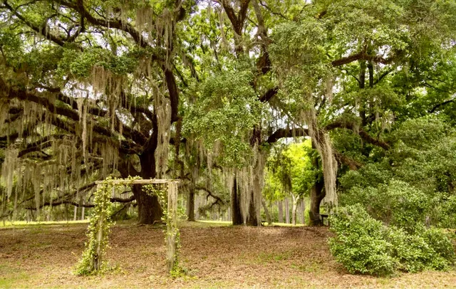 $700,000 | 9283 Tallokas Road, Pavo, GA 31778