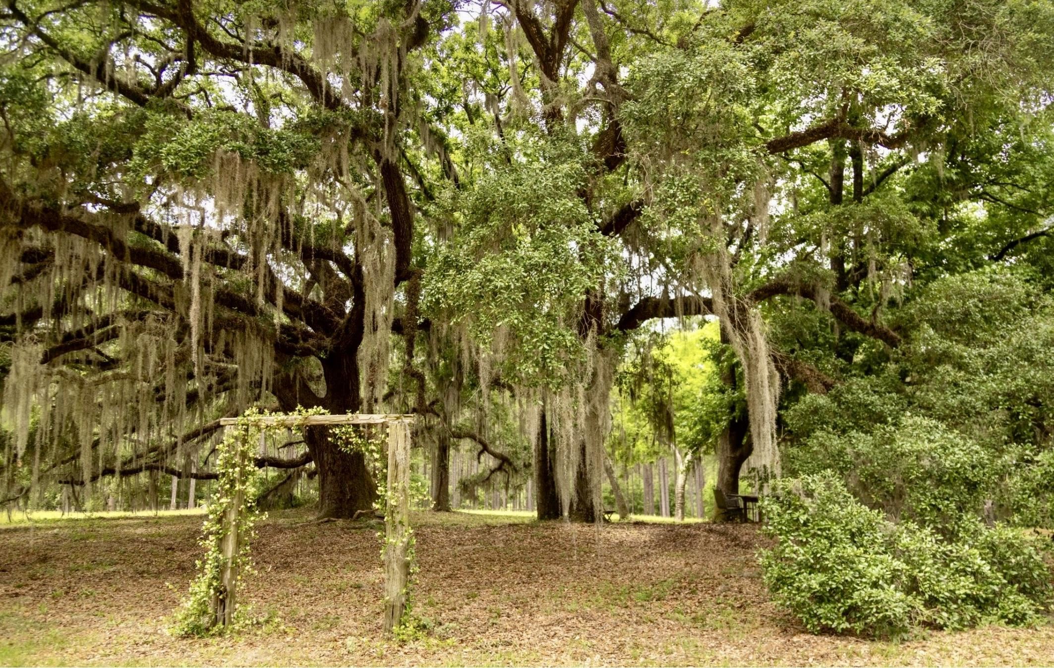 9283 Tallokas Road Pavo, GA 31778 - Photo 29 of 70