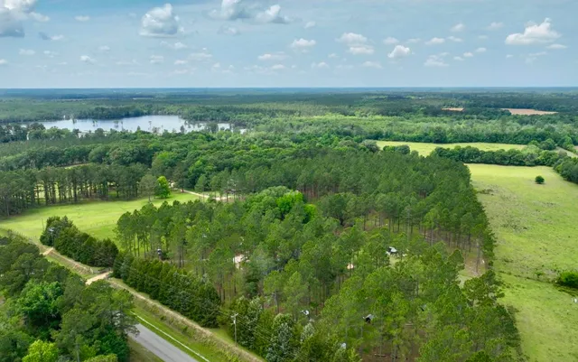 $700,000 | 9283 Tallokas Road, Pavo, GA 31778