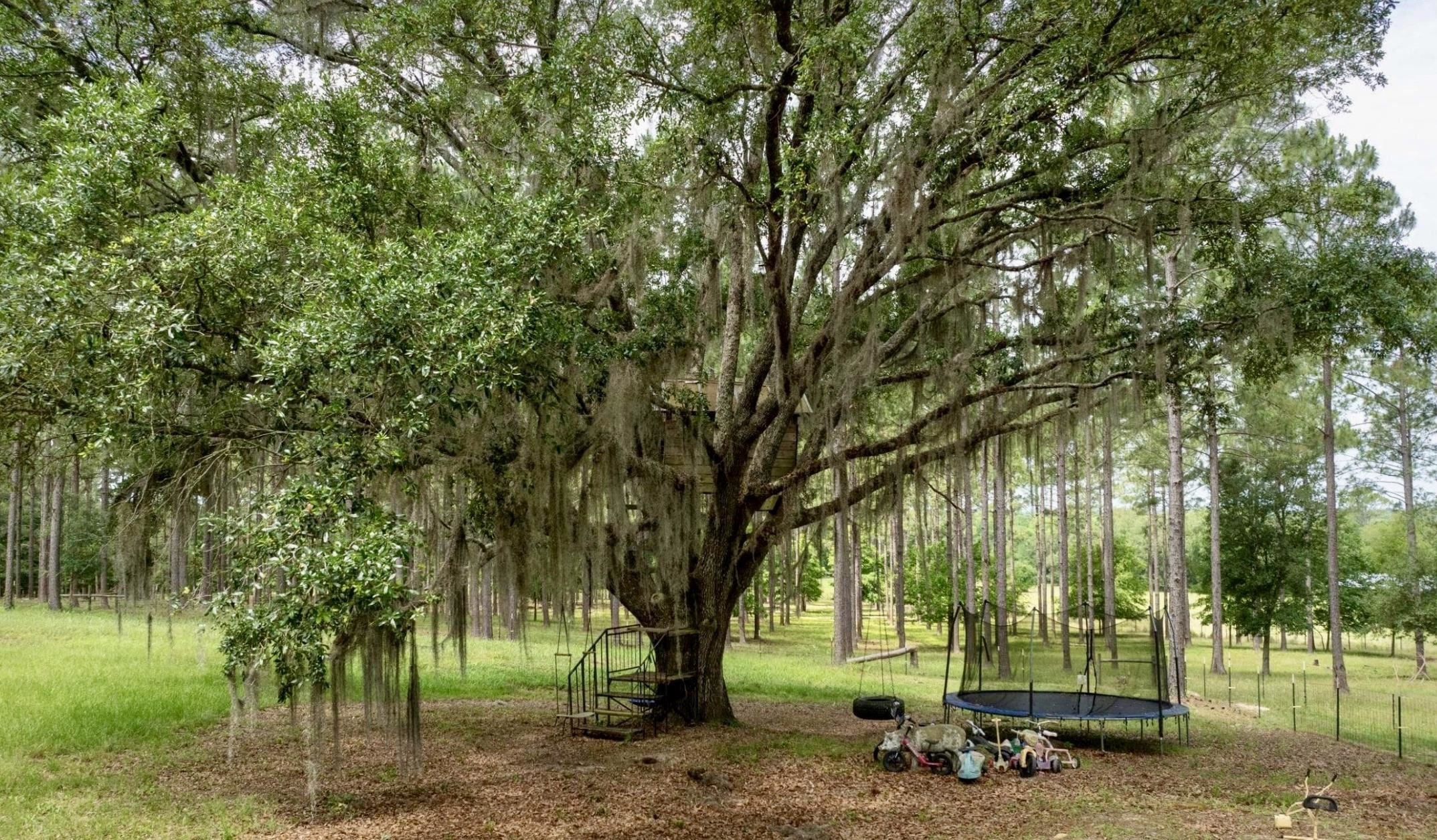 9283 Tallokas Road Pavo, GA 31778 - Photo 40 of 70