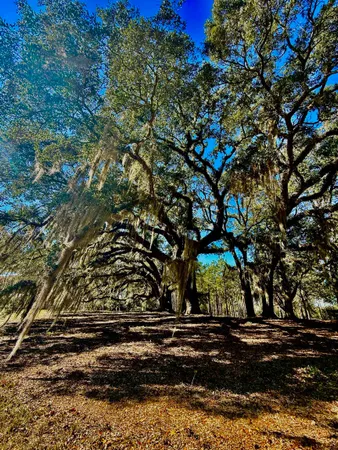 $635,000 | 9283 Tallokas Road, Pavo, GA 31778