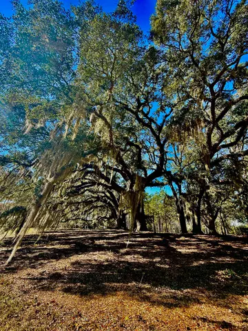 $700,000 | 9283 Tallokas Road, Pavo, GA 31778