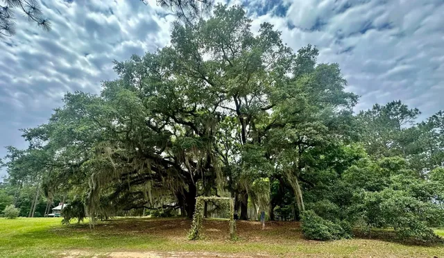 $700,000 | 9283 Tallokas Road, Pavo, GA 31778