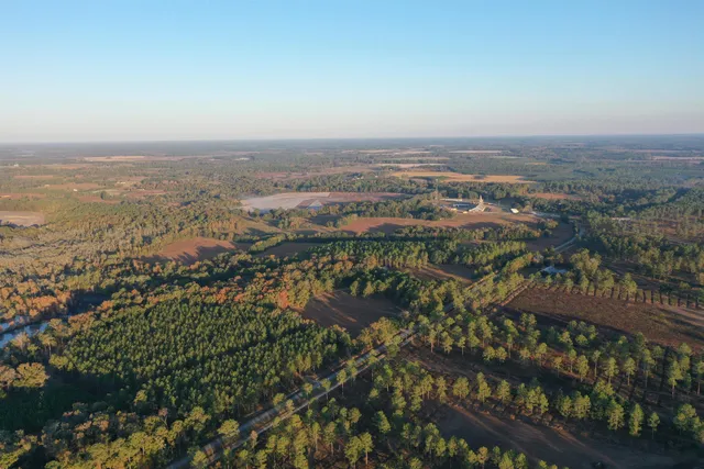 $700,000 | 9283 Tallokas Road, Pavo, GA 31778