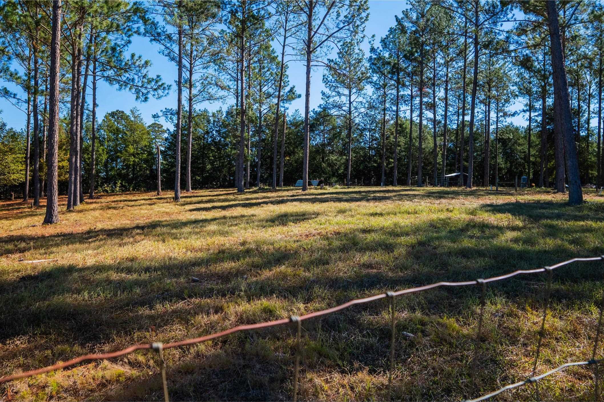 9283 Tallokas Road Pavo, GA 31778 - Photo 66 of 70