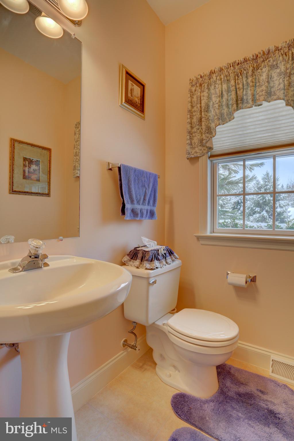 2146 Meadow Ridge Drive Lancaster, PA 17601 - Photo 25 of 48 Powder Room