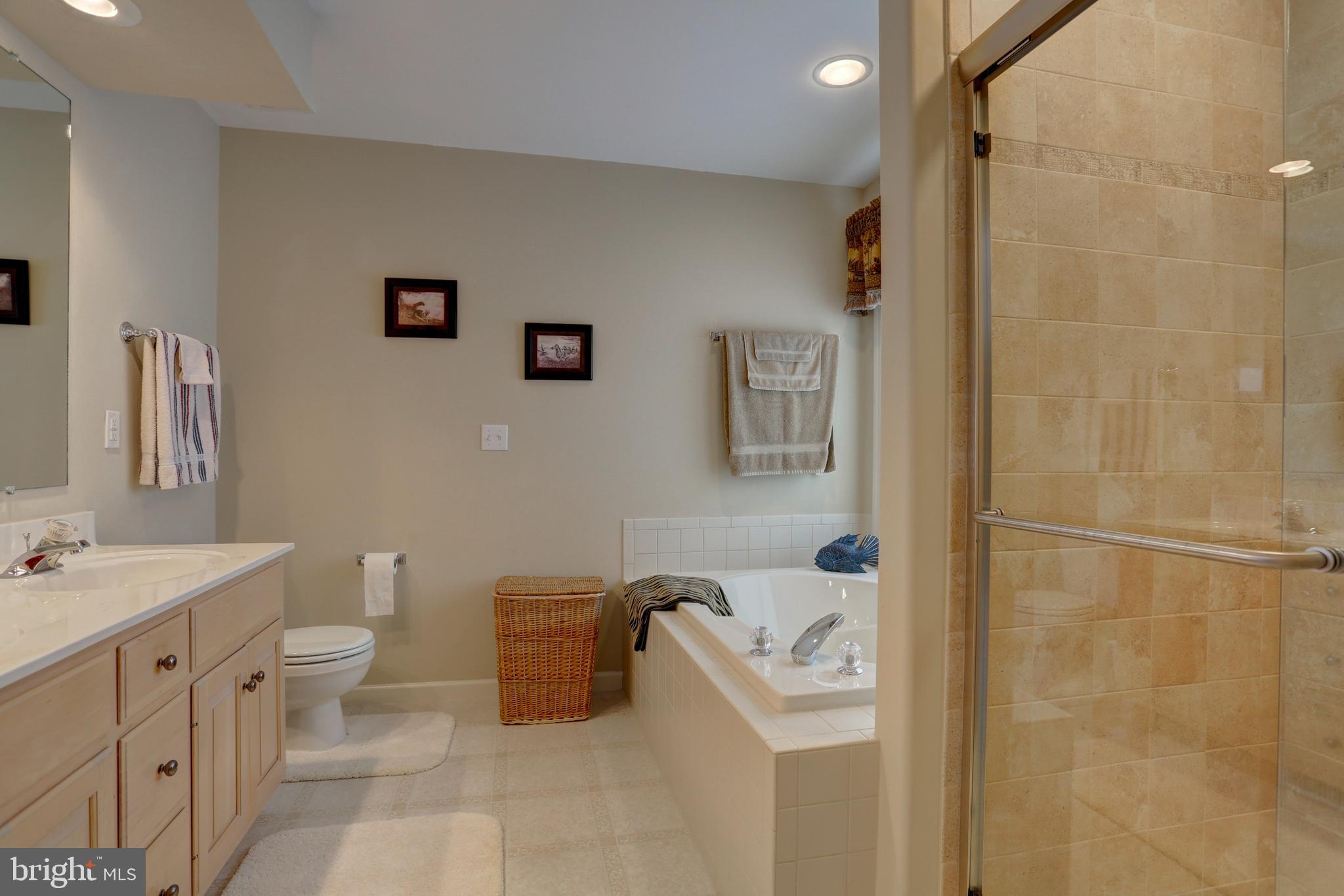 2146 Meadow Ridge Drive Lancaster, PA 17601 - Photo 28 of 48 Owner's Ensuite Bathroom
