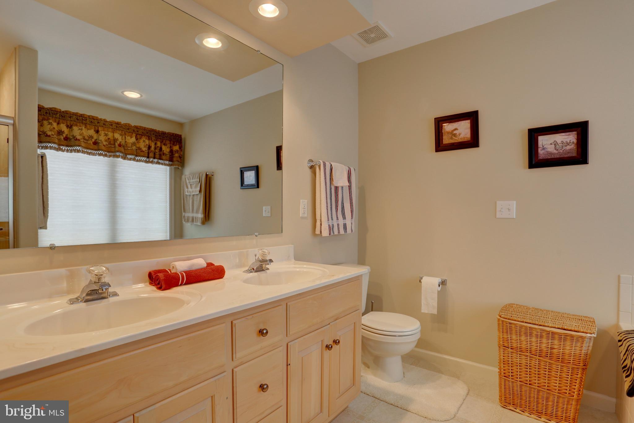 2146 Meadow Ridge Drive Lancaster, PA 17601 - Photo 30 of 48 Owner's Ensuite Bathroom