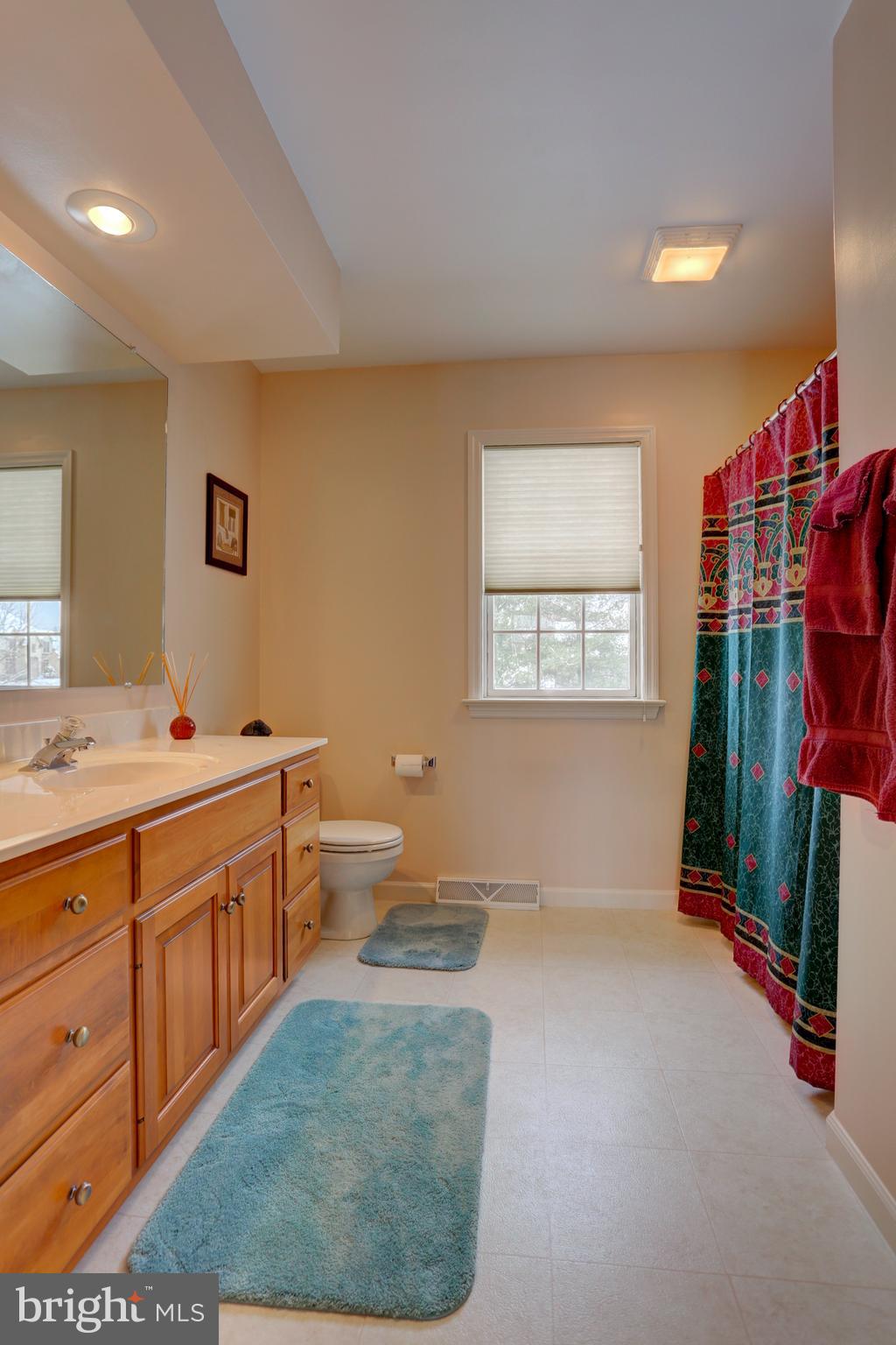 2146 Meadow Ridge Drive Lancaster, PA 17601 - Photo 32 of 48 Main Bathroom