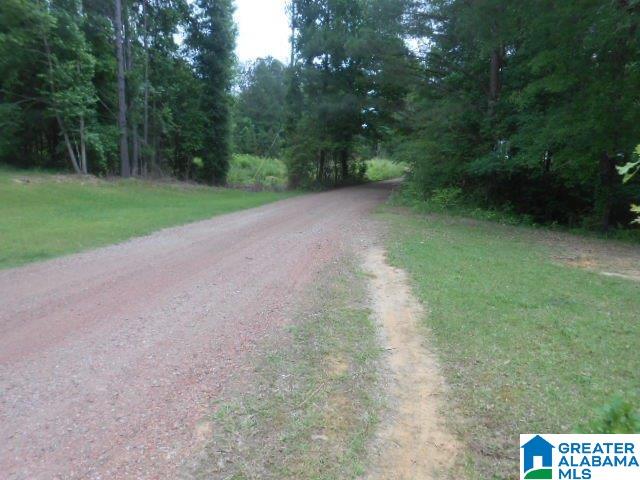 1458 Gardner Road Mount Olive, AL 35117 - Photo 2 of 12