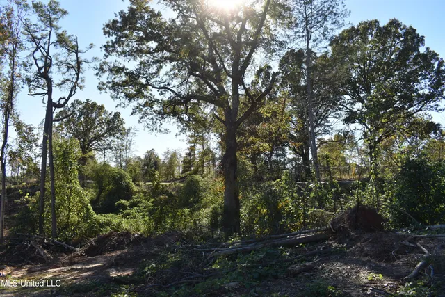 $40,000 | 3 Marianna Road, Holly Springs, MS 38635