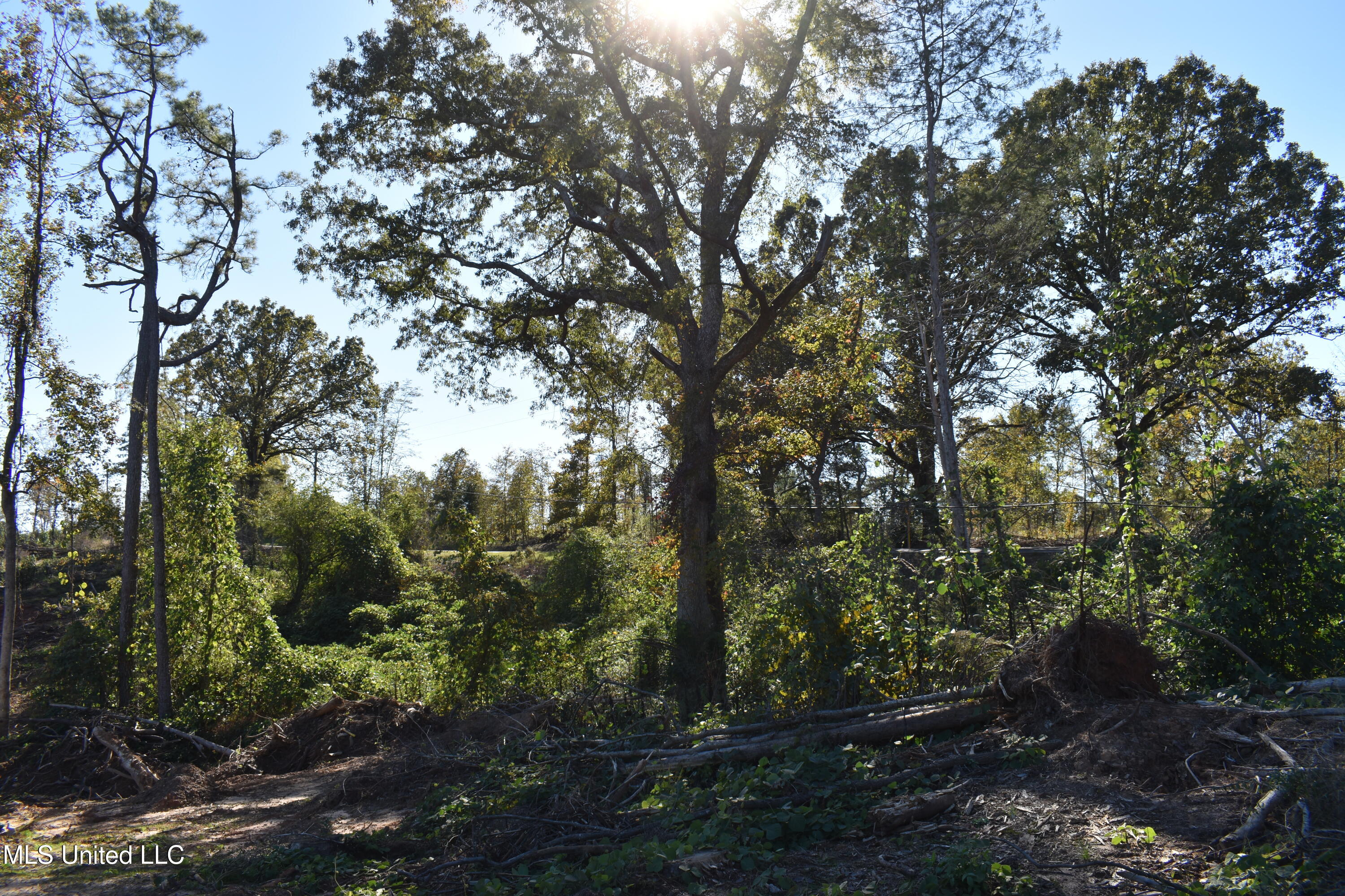 3 Marianna Road Holly Springs, MS 38635 - Photo 12 of 14 DSC_0611