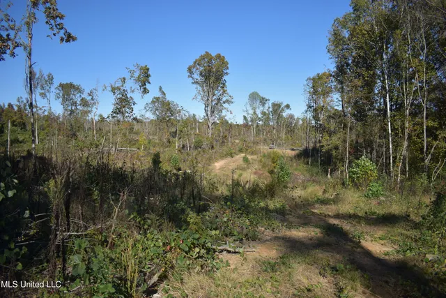 $40,000 | 3 Marianna Road, Holly Springs, MS 38635