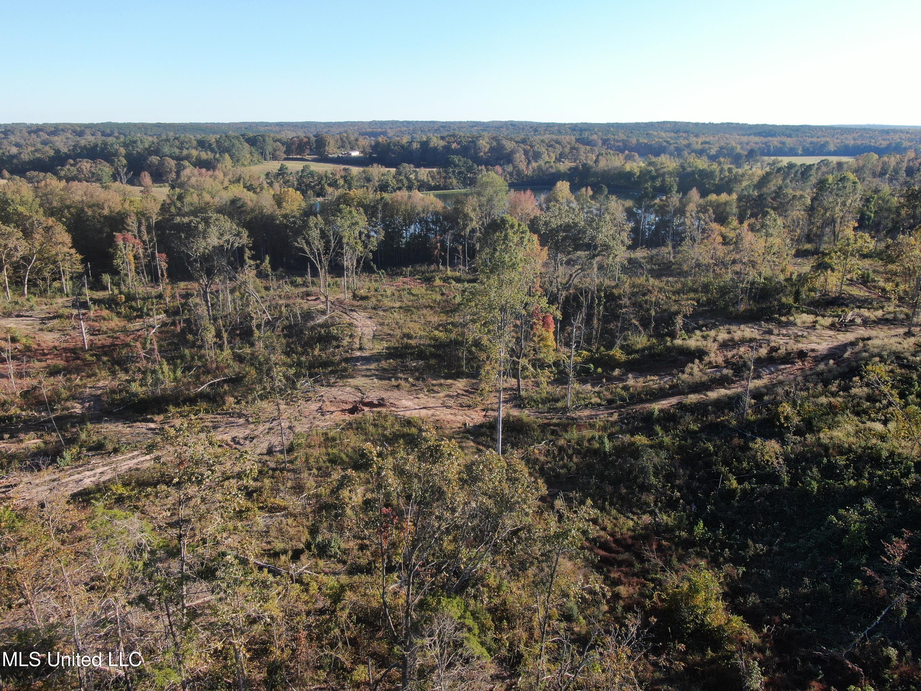 3 Marianna Road Holly Springs, MS 38635 - Photo 7 of 14 DJI_0774