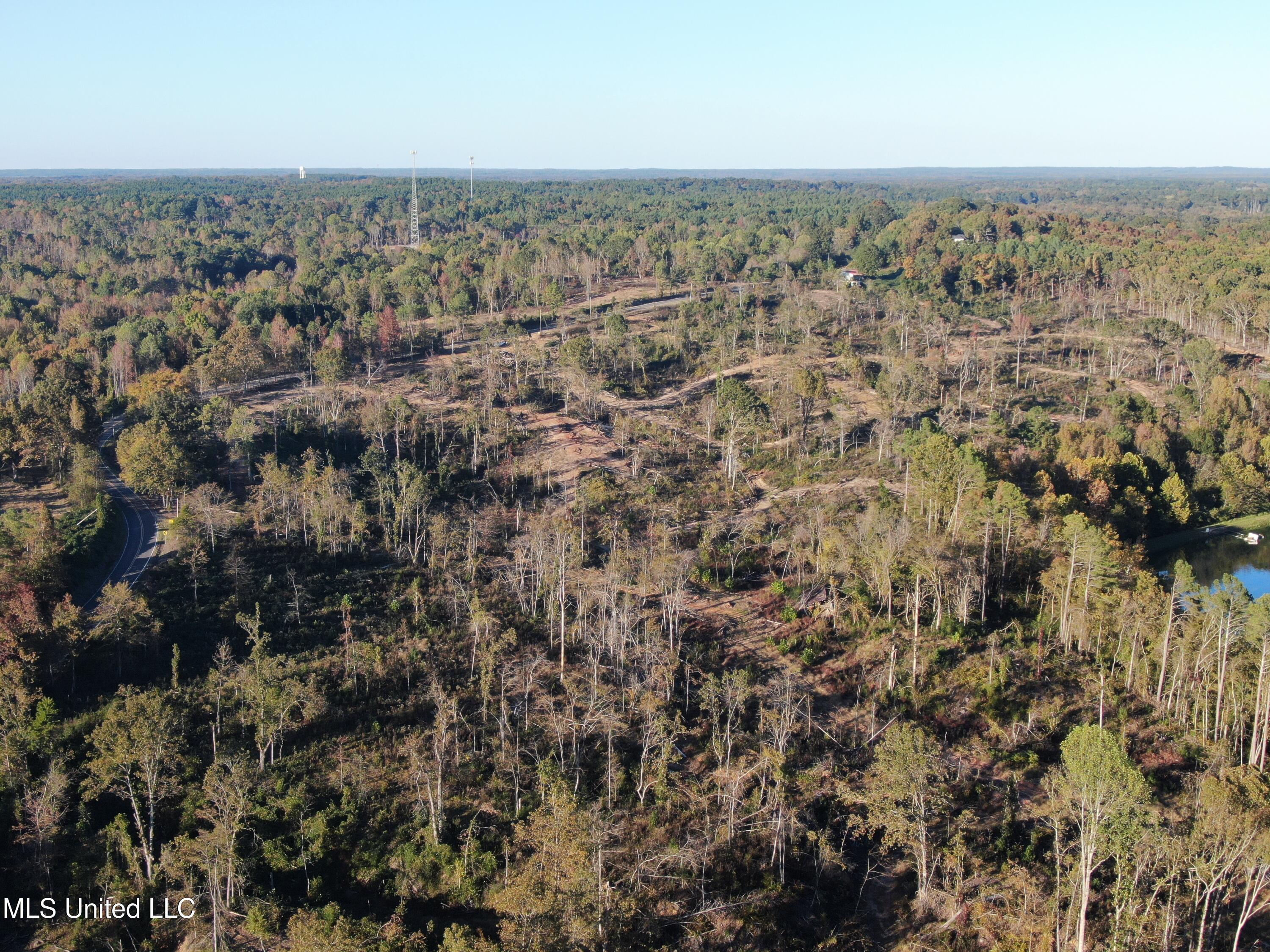 3 Marianna Road Holly Springs, MS 38635 - Photo 9 of 14 DJI_0786