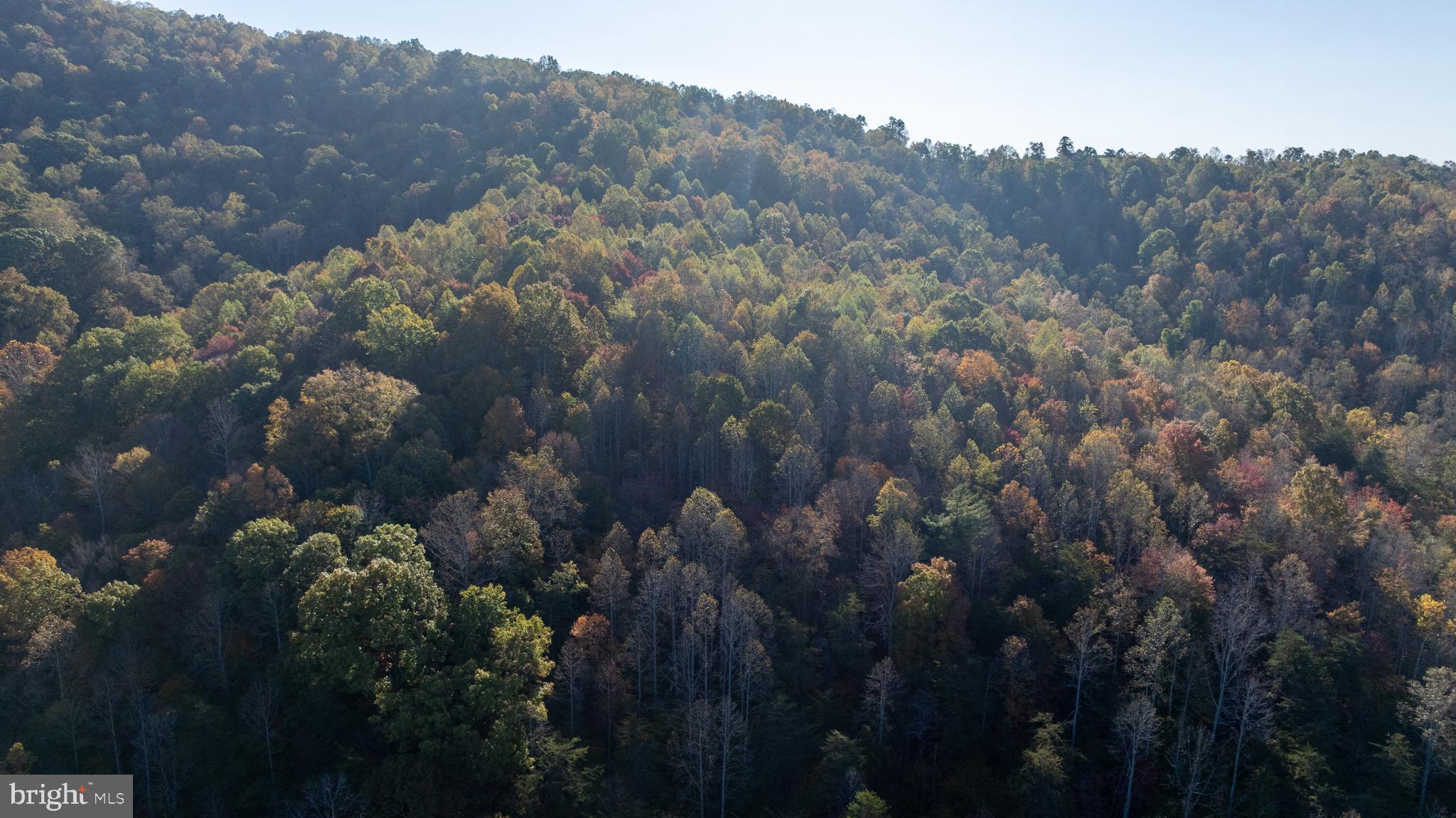 Republican Church, Unit 2 Ferrum, VA 24088 - Photo 3 of 48 a view of a lot of trees