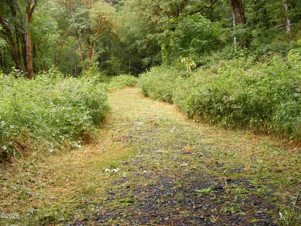 $59,000 | Tl20123255 East Alsea Highway, Alsea, OR 97324