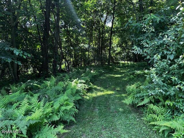538 Two Mile Road Howard, PA 16841 - Photo 16 of 20