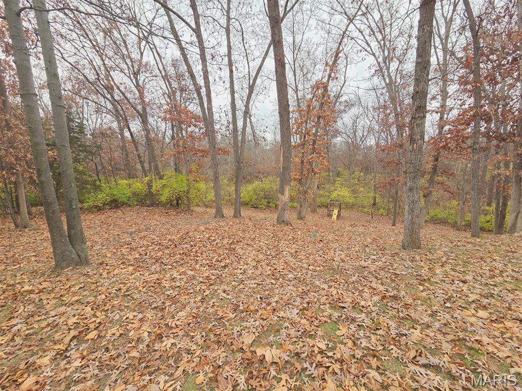 3 Janney Circle Canton, MO 63435 - Photo 56 of 64