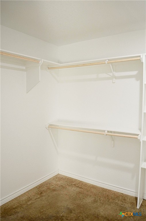 745 Freedom Circle Nolanville, TX 76559 - Photo 20 of 38 a view of an empty walk in closet