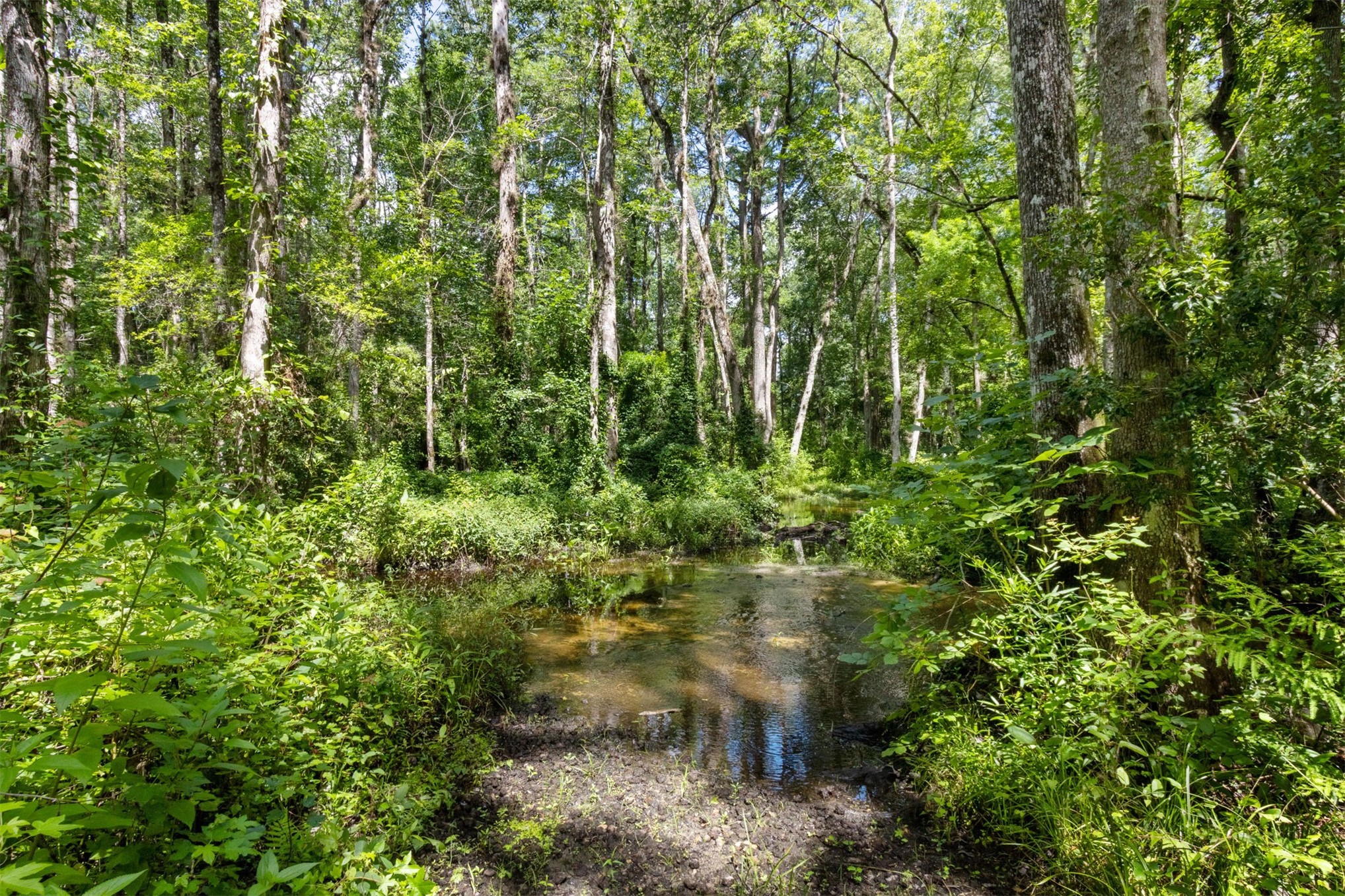 37854 Kings Ferry Road Hilliard, FL 32046 - Photo 51 of 52