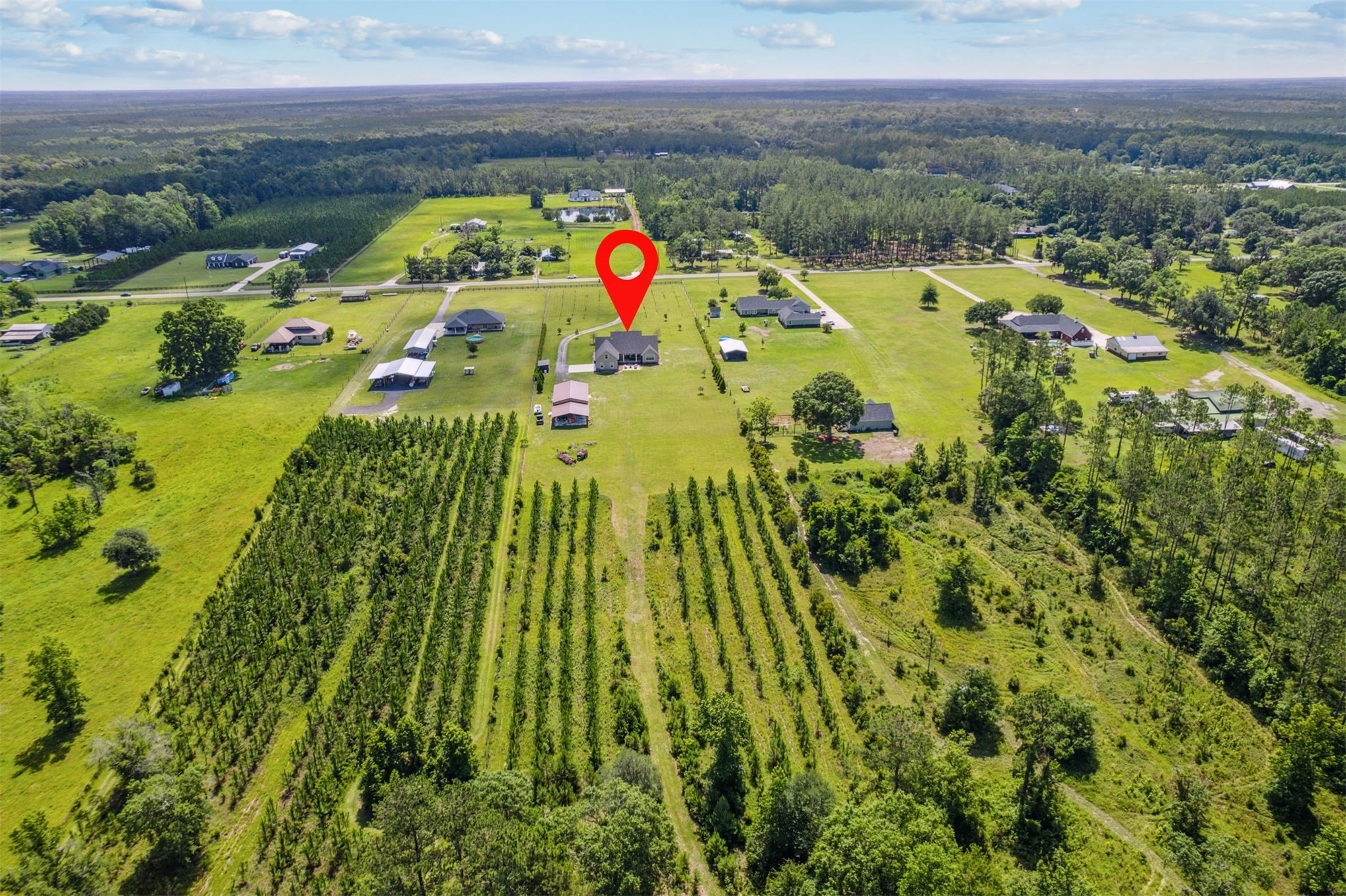 37854 Kings Ferry Road Hilliard, FL 32046 - Photo 6 of 52 a view of outdoor space and garden